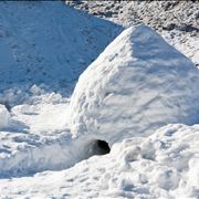 Picture Of Igloo